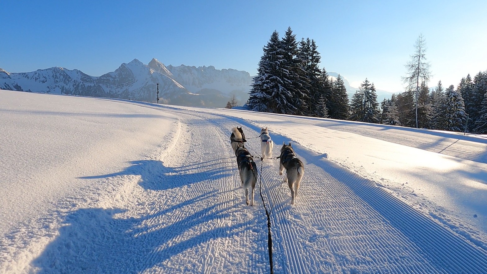 Gedanken zum Saisonanfang